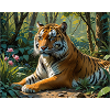 Jungle Tiger