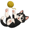 Kitten plays