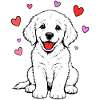 Golden_Retriever_Welpen_sitzend_Herz_weiss
