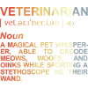 Tierarzt Bedeutung