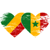 Kongo Senegal Flagge used