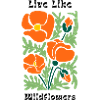 Live like wildflowers Poppies Pattern