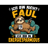 Ich bin im Energiesparmodus Faultier
