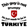 Türkische Schildemblem Mondstern