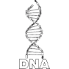DNA 