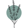 Lavender – Floral nature motif