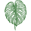 Monstera Leaf – Botanical Nature Motif