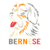 Berner Sennenhund