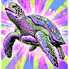 Schildkröte