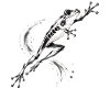 Rotäugige Laubfrosch-Regenwald