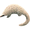 Pangolin