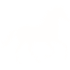 Silhouette eines wilden Pferdes