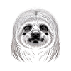 Sloth
