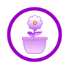 Blume