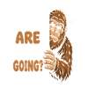 Bigfoot View Where Are You Going