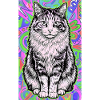 chat