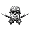 Emblème du fusil à crâne