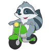 Raccoon Scooter