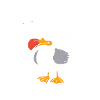 Möwe Seevogel Nen scheiss muss ich