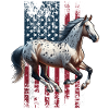 Appaloosa US Appaloosa