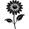 Chamomile Flower
