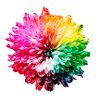 Regenbogen Blüte Explosion