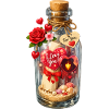 Message in a bottle Valentine's Enchantment