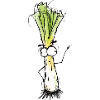 Leek