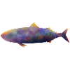 Mackerel.1
