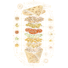 Lebanon Lebanese Shawarma Blueprint