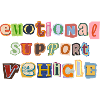 Emotional Support Vehicle
