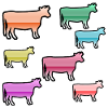 Vaches
