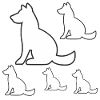 canine