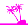 Palm trees