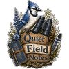 Quiet Field Notes Wolken