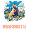 Marmottes Marmotte