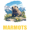 Marmottes Marmotte