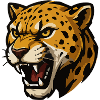 Jaguar Roar: Wild Cat Motif
