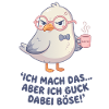 Möwe Kaffee Spruch