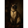 Portrait siamois nocturne
