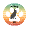 Team Bak