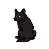 Don't Bother Me Black Shepherd Shepherd