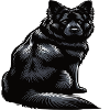 Black German Shepherd German Shepherd Owner