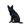 Nerv Mich Nicht Schwarzer Schäferhund Schäferhunde