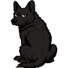Black German Shepherd German Shepherd Owner