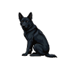Don't Bother Me Black Shepherd Shepherd