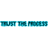 TRUST THE PROCESS conception