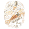 Welder Welding Specialist