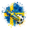 Football - Team Sweden