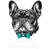 Bouledogue français avec nœud papillon